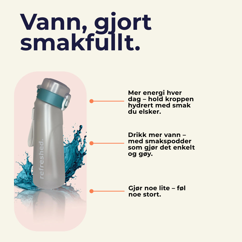 BASIC + Rengjøringsbørster